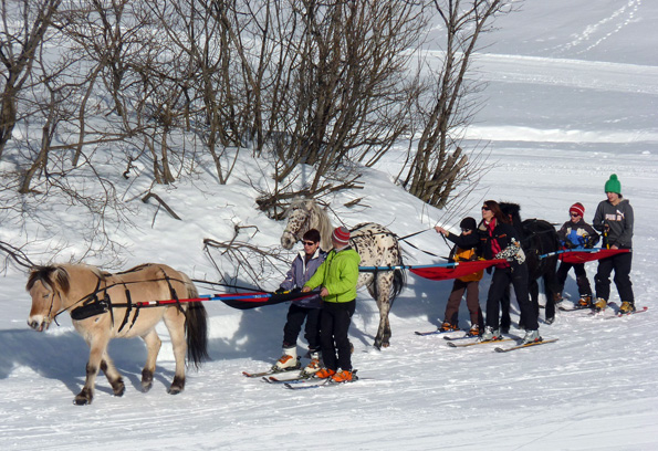 Skijöring mit Pferden ist eines der Wintersportabenteuer, die in Samoëns angeboten werden.
