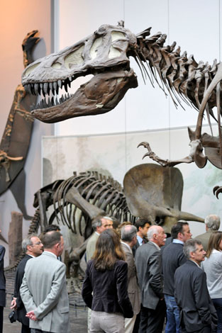 Junge Forscher interessieren sich im Senckenberg Museum vor allem für die Dinosaurier. (Foto: djd)