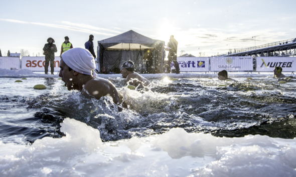 Nur etwas für ganz Harte: die Eisschwimmmeisterschaften in Schwedisch Lappland. 