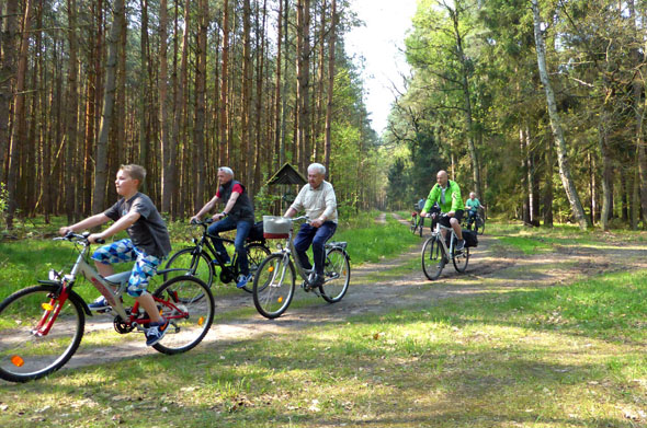 Mit dem Rad durch Wald und Heide: Über 1.100 Kilometer Rad- und Wanderwege führen durch die Region im äußersten Südosten Mecklenburg-Vorpommerns. (Foto: djd)