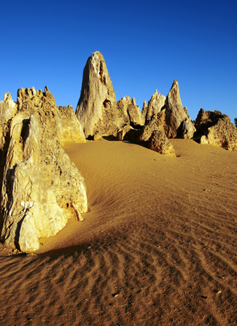 Eine der vielen Naturschönheiten Westaustraliens: die Pinnacles im Nambung National Park. (Foto Tourism Western Australia)