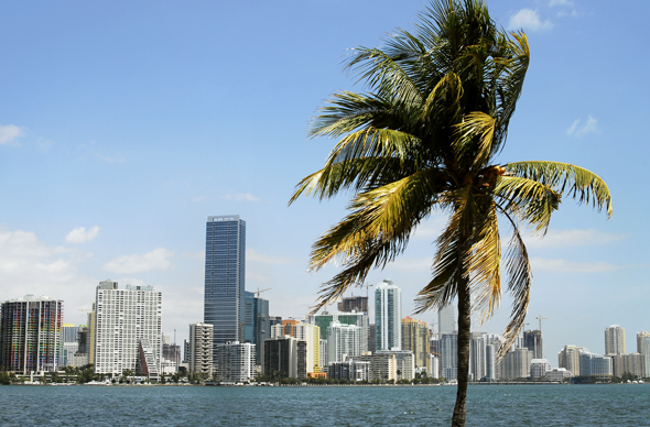 24 Museen locken in Miami mit Vergünstigungen zum „Museum Month“ vom 1. bis 31. Mai 2015. (Foto GMCVB)