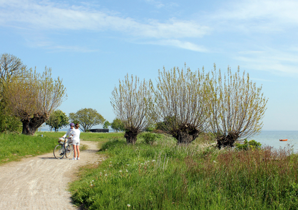 Entlang der Küstenlinie laden herrliche Radwege zu Entdeckungstouren ein. (Foto Bjørg Kiær)