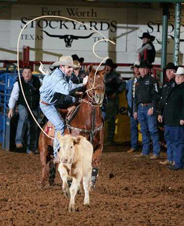 Rodeo-Veranstaltungen stehen ganzjährig auf dem Veranstaltungskalender.  (Fotos Fort Worth Convention and Visitors Bureau)