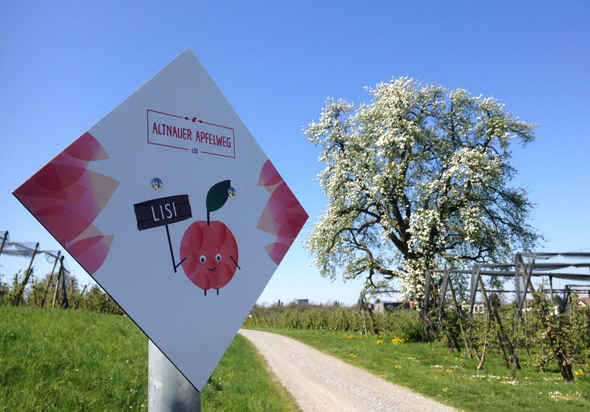 Rund um Altnau erläutert der neue Apfelweg den Weg von der Blüte bis zur Frucht. (Foto Altnauer Apfelweg)