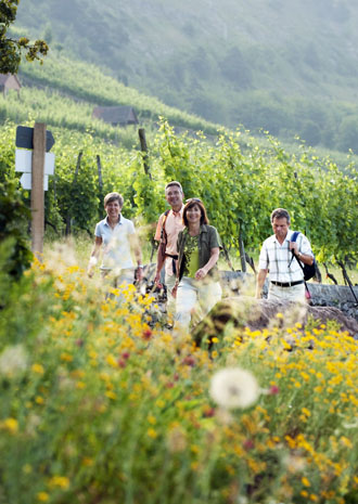 Die alte Kulturlandschaft rund um Karlstadt lädt zu genussreichen Spaziergängen ein. (Foto Andreas Hub)