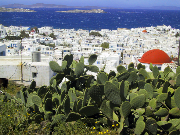 Eine Trauminsel in der Ägäis: Mykonos mit seinen engen Gassen und weiß getünchten Häusern. (Foto Lupo/Pixelio)