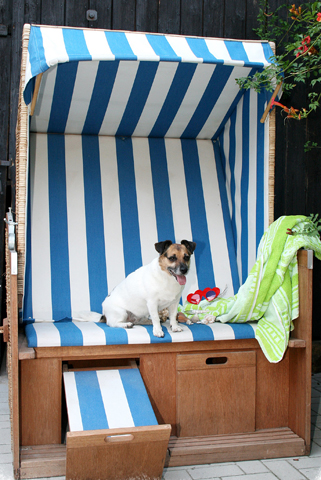 Beim Strandurlaub sollen für echte Tierliebhaber die Hunde nicht Zuhause bleiben. (Foto A. Conscious/Pixelio)