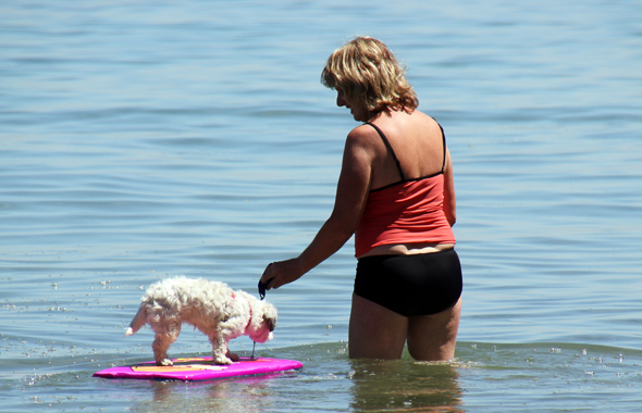 Ein artgerechter Hundeurlaub lässt sich auch am Bodensee verleben, wo zahlreiche Ferienhäuser und -wohnungen speziell für Urlauber mit Hund zur Verfügung stehen. (Foto Karsten-Thilo Raab)
