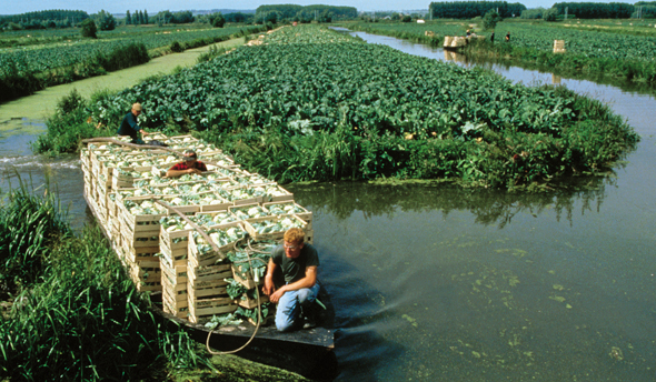 Wichtige Lebensgrundlage der Region ist der Gemüseanbau im Audomarois. (Foto Laurent But)
