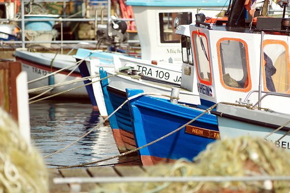 Maritimes Flair ist auch rund um den Fischereihafen zu spüren. (Foto LTM)