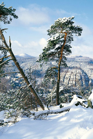 Blick auf den Berg Oybin: Die Landschaft im Naturpark Zittauer Gebirge übt im Winter einen ganz eigenen Reiz aus. (Foto: djd)