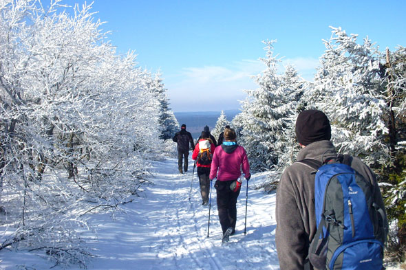 Winterwanderer erwartet rund um Osterode ein kilometerlanges Wegenetz, das mit Walkingstöcken und gutem Schuhwerk gut zu belaufen ist. (Fotos: djd)
