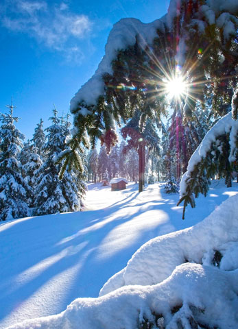 In der Wintersonne wird eine Tour auf dem "Harzer-Hexen-Stieg" zu einer Wanderung durch eine Märchenlandschaft.