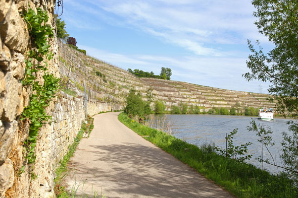 Von Stuttgart bis ins HeilbronnerLand hinein begleiten Weinsteillagen mit Mauerterrassen die Pedalritter auf ihrem Weg. (Foto: djd)