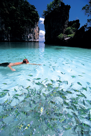 Wer möchte, kann an Krabis Küste auch mit den Fischen baden gehen. 