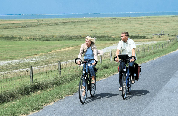 Vom Deich haben die Radler einen weiten Ausblick übers grüne Land. (Foto: djd)