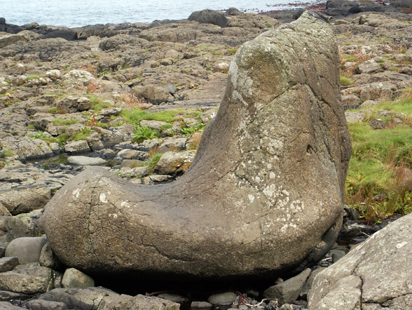 Ein besonderes Stück Stein am Giant's Causeway: der Giant's Boot. (Foto Karsten-Thilo Raab)