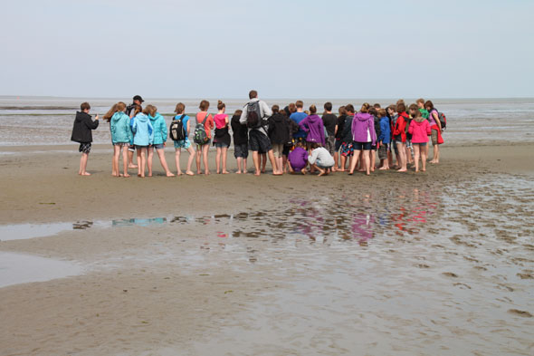 Auf einer Wattwanderung kann man das Weltnaturerbe Wattenmeer und seine Bewohner näher kennen. (Foto: djd)