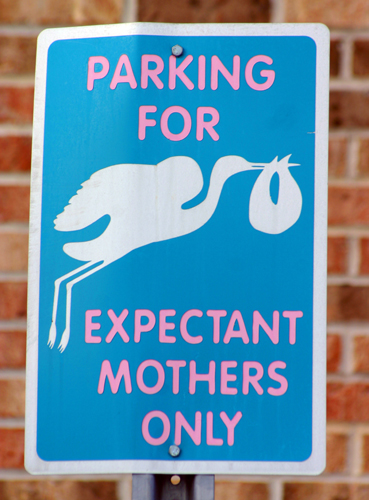Kuriosum im amerikanischen St. Petersburg: spezielle Parkplätze für Schwangere. (Foto Karsten-Thilo Raab) 
