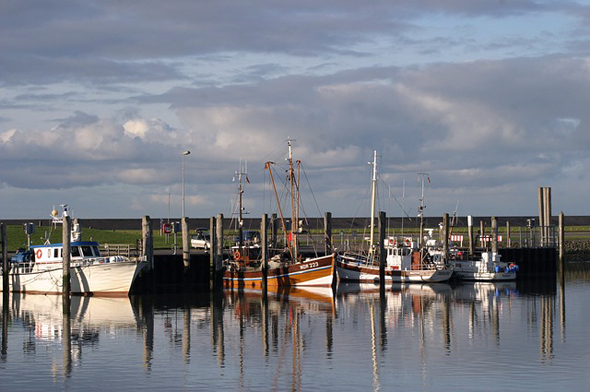 Im Hafen von Norddeich schaukeln ein paar Boote sanft in den Wellen. 