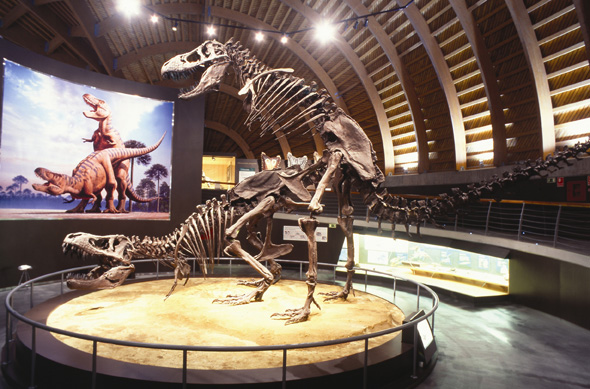 Die Dinosaurier fühlten sich in Asturien wohl. Einige besondere Exemplare sind im Juramuseum in Colunga zu bestaunen. 