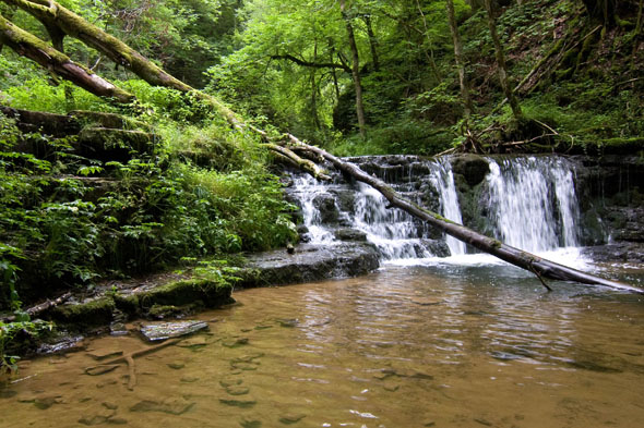 Eine überwältigende Urlandschaft mit romantischen Wasserfällen und urwüchsigen Wäldern erlebt man auf dem Genießerpfad Gauchachschlucht. (Foto: djd)