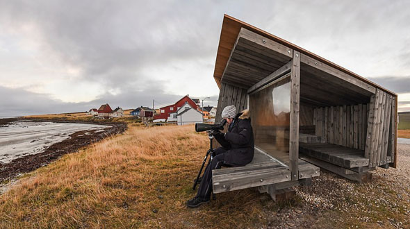 Unterstände wie dieser auf der Insel Vadsø bieten attraktive wie geschützte Beobachtungsmöglichkeiten. (Foto Tormod Amundsen)