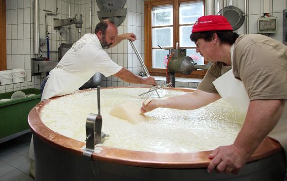 In der Käserei lässt sich nicht nur die Herstellung kennen lernen, sondern auch kosten. (Foto bfs)