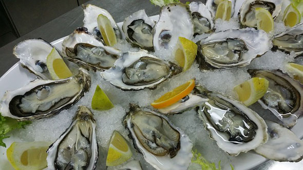 Beim Galway International Oyster and Seafood wartet sogar ein Wettbewerb im Austern-Knacken. 