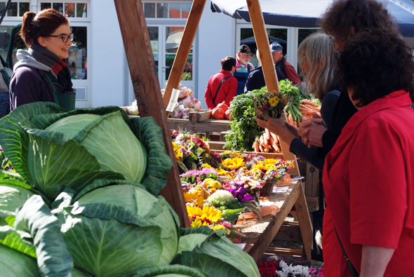 Natürlich gibt es den Kohl während der Kohltag auch käuflich zu erwerben - so wie hier auf dem Markt in Meldorf. (Foto TI Meldorf)