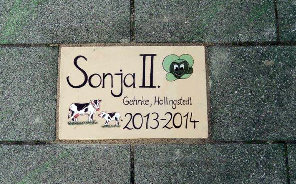 Für die Kohlregentinnen gibt es sogar einen Walk of Fame. 