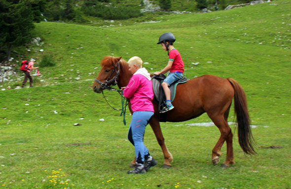 Auch im Ötztal liegt das Glück auf Erden auf den Rücken von Pferden. (Foto Ulrike Katrin Peters)