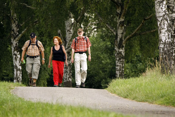 Von Ellwangen aus führt ein Netz gut ausgebauter Wanderwege in die Idylle der schwäbischen Ostalb. (Foto: djd)