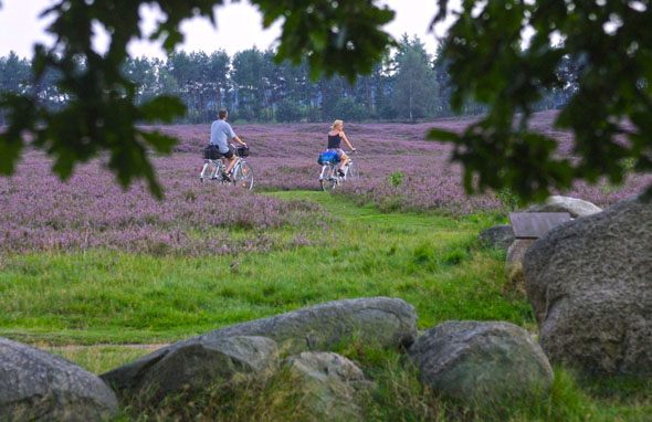 Acht Erlebnisrouten führen Fahrradfahrer durch die "Wilde Geest" zu den Spuren der Steinzeit. (Foto: Olaf Blume)