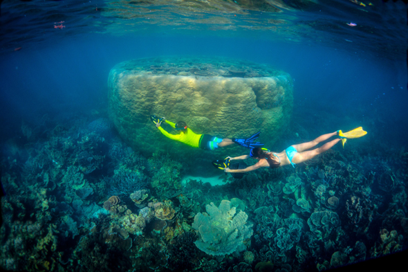 Auch unabhängig von den Big Five gibt es in der australischen Unterwasserwelt einiges zu entdecken. (Foto Tourism Western Australia)