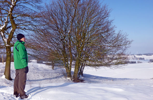 Wintervergnügen: Durchatmen und die Aussicht ins Harzvorland genießen. (Foto: djd)