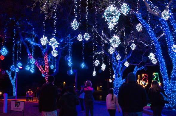 Überaus stimmungsvoll: das Festival of Lights in den Moody Gardens. (Foto Moody Gardens)