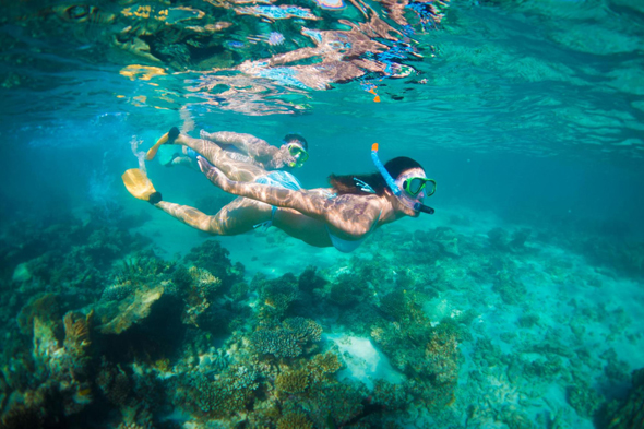 Das Schnorcheln am Ningaloo Reef ist fast schon ein Muss für Australien-Reisende. (Foto Tourism Western Australia)
