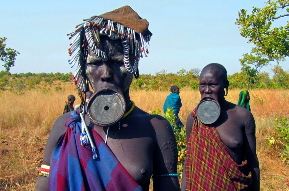 Notizen aus der Welt des Reisens Hund im Essen und Baden im Bier