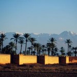 Sommertraum im Winter: Die Gärten von Marrakesch
