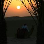 Abu Dhabi – der Vater der Gazelle