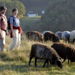 Der Jurasteig in Ostbayern – wo Küchenschellen und wilder Thymian grüßen