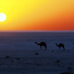 Oman auf die wüste Art: Rasant durch den Sand