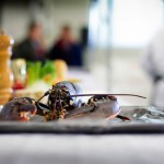 Salzige Genüsse aus Zeeland: Hummer, Austern und Gemüse aus dem Meer