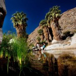 Unterwegs auf den Spuren der Agua-Caliente-Indianer im kalifornischen Palm Springs