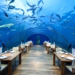 Dinner unter den Meeresspiegel – Essgenuss im schönsten „Fischkino“ der Malediven 