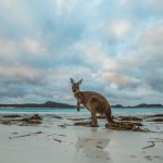 Unbekannte Naturschönheiten in Westaustralien
