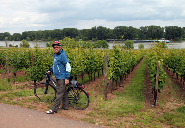 Oppenheim in Rheinhessen ist für seine Weinlagen bekannt und beheimatet das Deutsche Weinbaumuseum. (Foto Karsten-Thilo Raab)