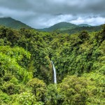 Famose Biodiversität: Grün, grüner, Zentralamerika